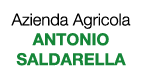 Antonio Saldarella